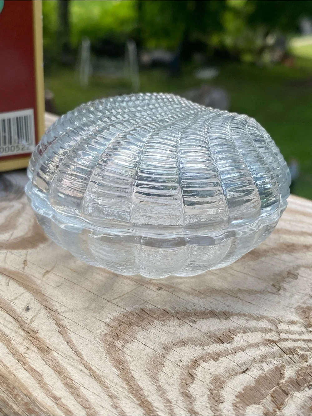 Clear Glass Shell Trinket Box - Decorative Sea Shell